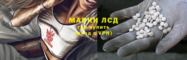 хмурый Арсеньев
