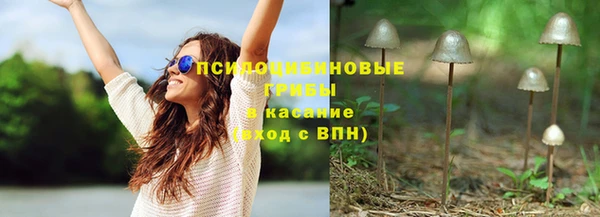 ГАЛЛЮЦИНОГЕННЫЕ ГРИБЫ Балабаново