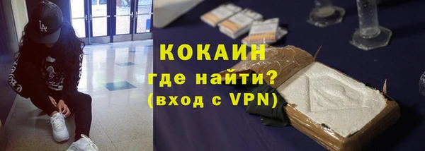 хмурый Арсеньев