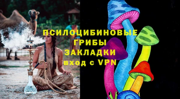 хмурый Арсеньев