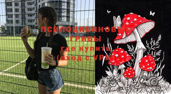 альфа пвп Армянск