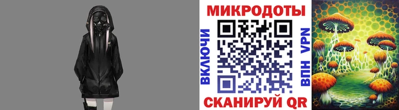 Псилоцибиновые грибы Psilocybine cubensis  Данков 